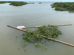 -北海金海湾红树林生态旅游区