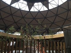 -上海滴水湖皇冠假日酒店