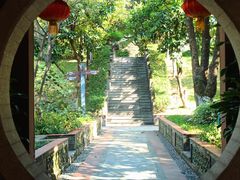 -广州神农草堂中医药博物馆