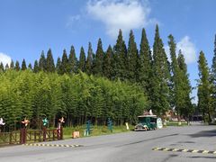 -黄海国家森林公园