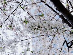 -上海柏悦酒店