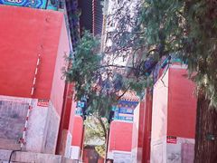 -北京国子监胡同