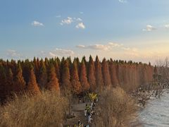 -捞渔河湿地公园