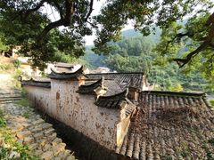 -杨家堂村