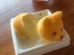 -柴犬高等学院·狗咖·柴犬售卖·宠物训练