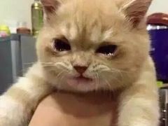 -味千拉面(双井店)