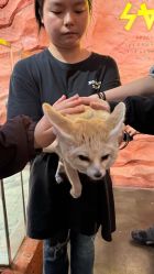 -Zoolung Zoolung动物主题公园(海信广场店)