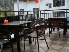-绿荫餐厅·绿树茶楼