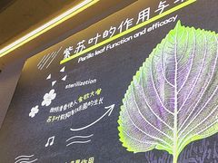 -大叹号·朝鲜族烤肉(潍坊泰华城店)
