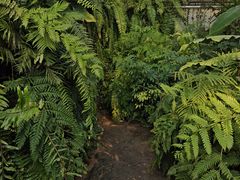 -国家植物园南园