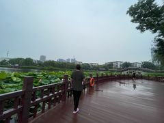 -西海子公园