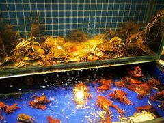 水产区-甄品麦哲伦海鲜和牛自助(万达广场店)