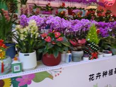 -百荣世贸商城