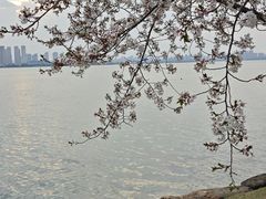 -苏州独墅湖世尊酒店