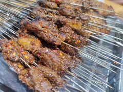 -清真·马峰烤肉(小学习北巷店)