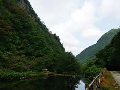 -白云源风景区