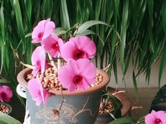 -学习谷日语培训日本留学·多语种外语教学(海淀人大分部)