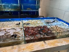 -川骄海鲜自助(亚运村店)