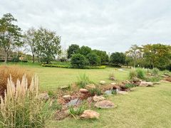 -上海长兴岛郊野公园