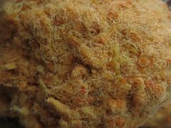 肉松小贝-苹果花园(桂林路店)