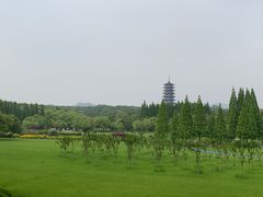 -宜兴龙背山森林公园