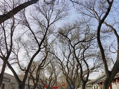 -北京国子监胡同
