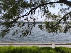 -长春市南湖公园