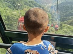 -王顺山国家森林公园