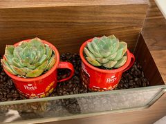 -Peet's 皮爷咖啡(东湖路手作店)