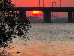 -宝安西湾红树林湿地公园