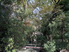-汇龙潭