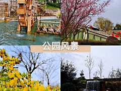 -成飞公园