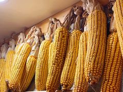 -富贵铁锅炖(一部)