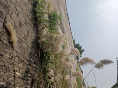 -黎里古镇