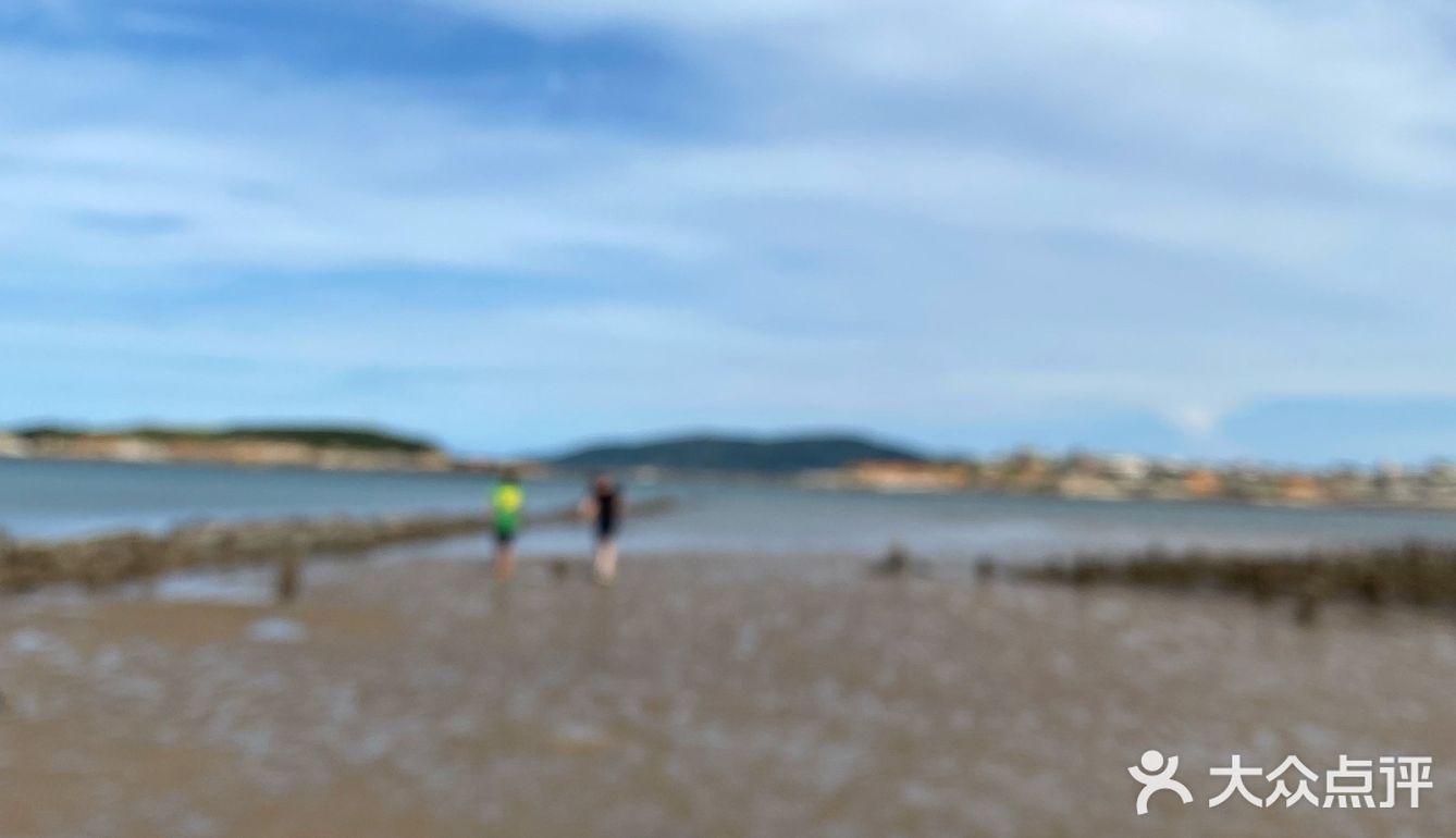 平潭赶海🌊小海鲜统统带回家啦！