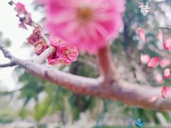 -西北湖绿化广场
