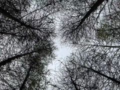 -金海湾滨江公园