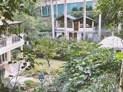 -梧桐山风景名胜区