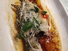 -侬佳蒸菜馆(听潮店)