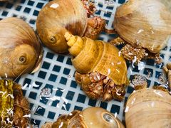 -映像威海·海鲜味道(经区店)