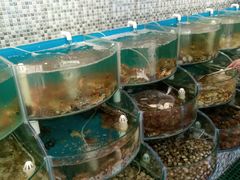 -仙螺岛海鲜自助餐厅(总店)