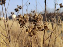 -真老陕(富达大厦店)