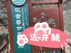 -大屏嶂森林公园
