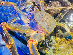 -蟹之国·精品蟹料理(极地店)