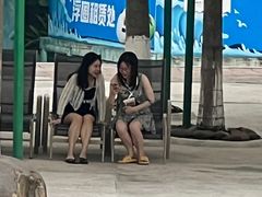 -重庆海昌加勒比海水世界
