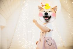 -WPlus明星肖像亲子全家福摄影