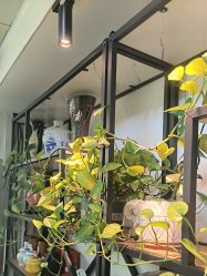 -冰岛刺青·手工耳饰品售卖·专业纹身