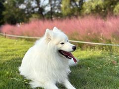 -钟山体育运动公园