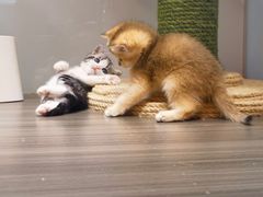 -南昌特色煨汤(马台街店)