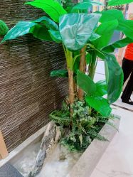 -芳朵美容养生SPA